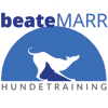 Website Hundetraining Sauerland